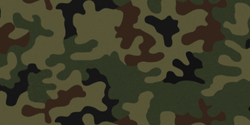 Pantera Camouflage