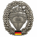 Original German Army Beret Badge CIR Insignia Military Surplus Metal Pin