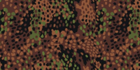 Pea Dot